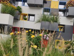 -深圳市当代艺术与城市规划馆