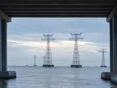 -宝安西湾红树林湿地公园