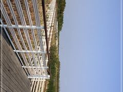 -春花秋色城市公园