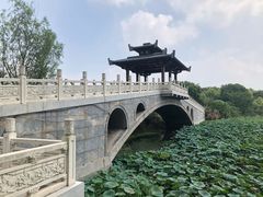 -东湖落雁景区