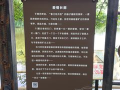 -老木棉·匠园