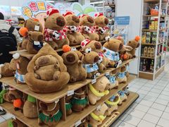 -大润发(张江店)
