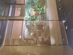 -帕帕拉兹宠物(亚洲旗舰店)