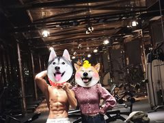 -威蒂斯国际健身游泳会所(东莞庄路店)