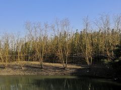 -上海青龙寺