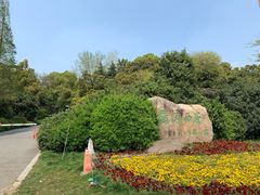 -蜀冈西峰生态公园