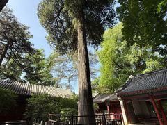 -潭柘寺景区