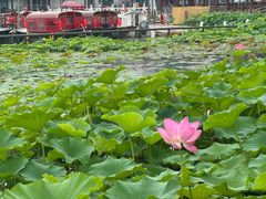 -小王府(什刹海店)