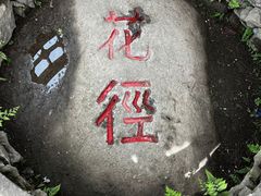 -庐山风景区花径公园