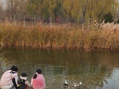 -永定河休闲森林公园