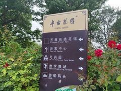 -丰台花园