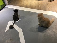 -小时光咖啡馆(开森度假森林店)