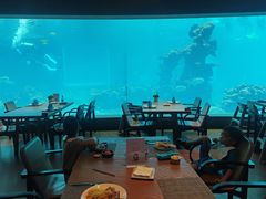 -海棠湾洲际-涛·海底餐厅·美人鱼·自助餐·海底隧道