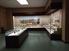 -宁夏博物馆
