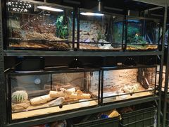 -FAIRYLAND龙族星球主题餐厅(凯丹广场店)