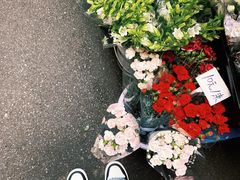 -循礼门鲜花花市(武汉循礼门店)