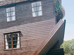 -金山农民画村-枫泾波兰倒置屋