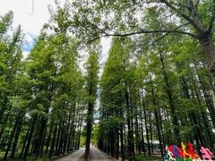 -日照灯塔风景区