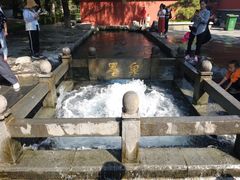 -百脉泉景区