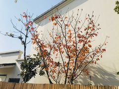 -湘湖金融镇