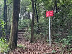 -广州市帽峰山景区