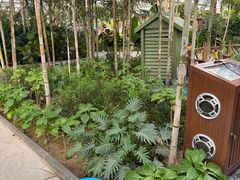 -南宫五洲植物乐园