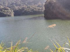 -广州市石门国家森林公园