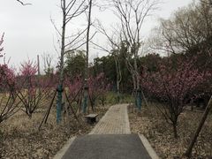 -广富林郊野公园