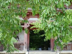 -醍醐寺