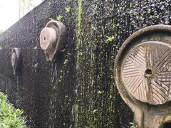 -呀诺达热带雨林