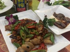 -云中小雅