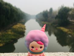 -东郊湿地公园