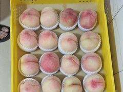 -老袁家蜜桃农场·阳山水蜜桃