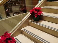 -上海神旺大酒店