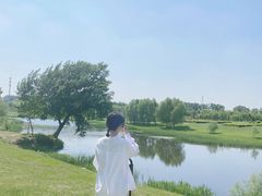 -蒲河岛湿地公园