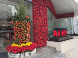 -深圳米兰柏羽医疗美容医院