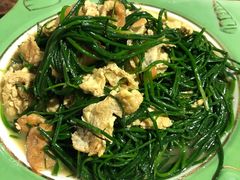 -沙洲胡杨焖饼