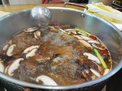-乳仔牛牦牛汤锅 烤羊排(松潘古城店)