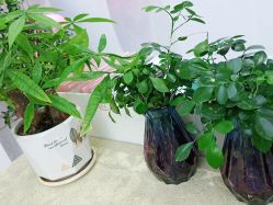 -痘院长·祛痘·科技美肤