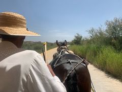 -水洞沟旅游区