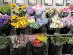 -鹿岛生活(熙地港店)