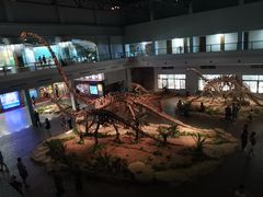 -自贡恐龙博物馆