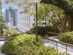 -香港大学