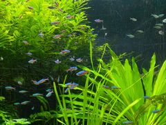 -上海海洋水族馆