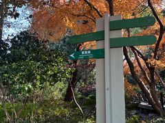 -杭州半山国家森林公园