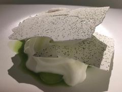 小黄瓜-MUME