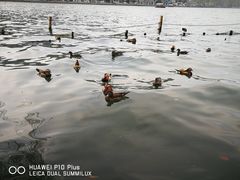 -浙江省博物馆(孤山馆区)