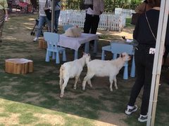 -太阳岛度假酒店