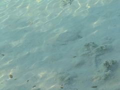 -白水台