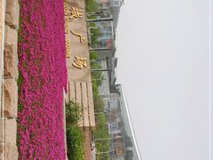 -泉城广场